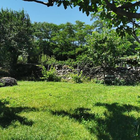 Da Zio Guido! Villa Bussoleno Esterno foto