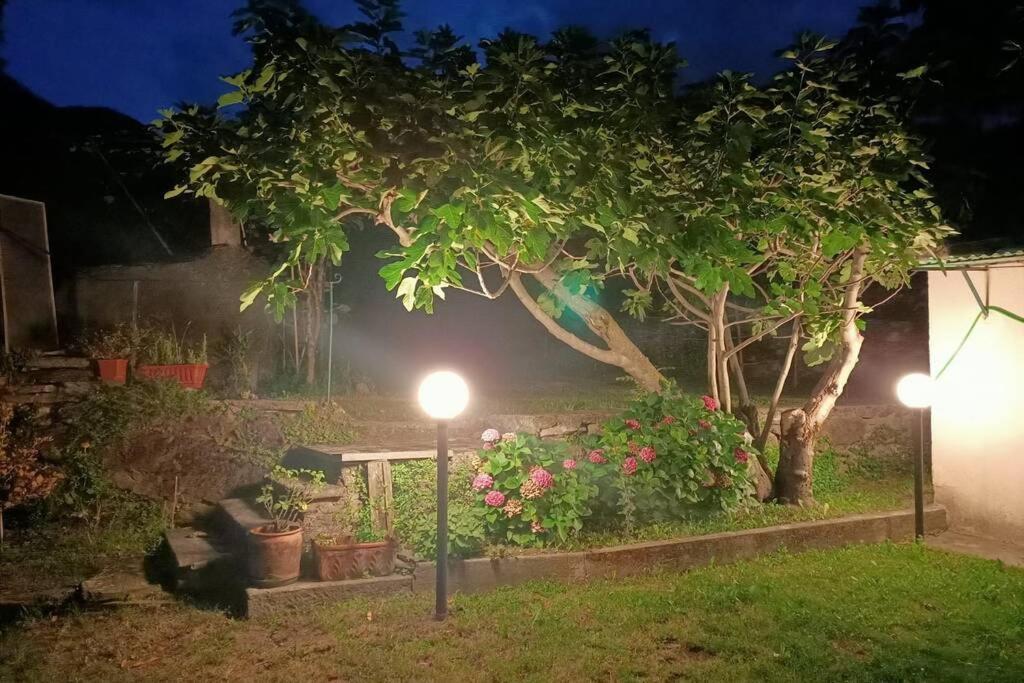 Da Zio Guido! Villa Bussoleno Esterno foto