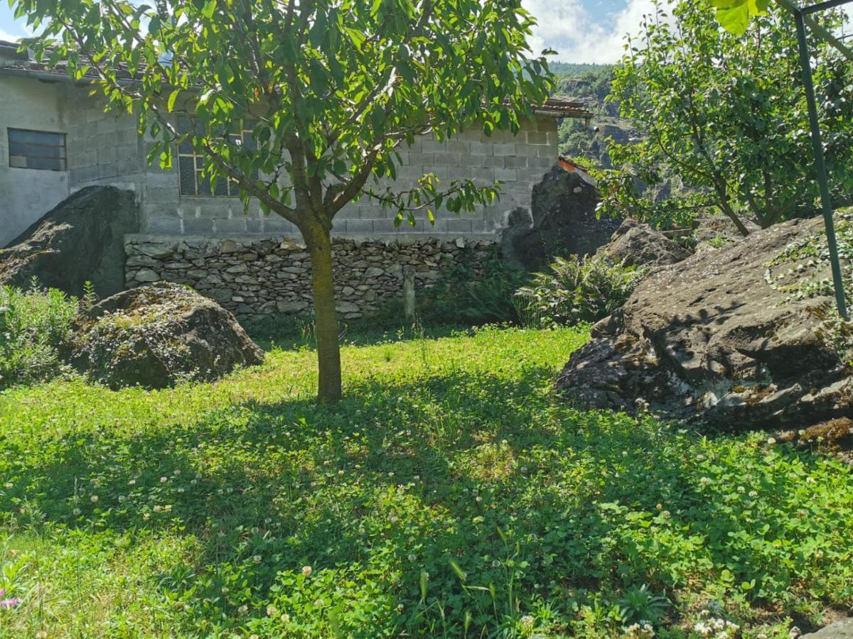 Da Zio Guido! Villa Bussoleno Esterno foto
