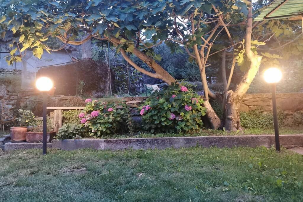 Da Zio Guido! Villa Bussoleno Esterno foto