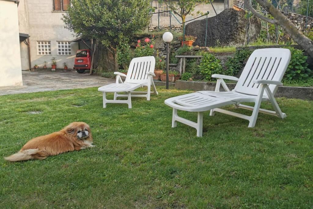 Da Zio Guido! Villa Bussoleno Esterno foto