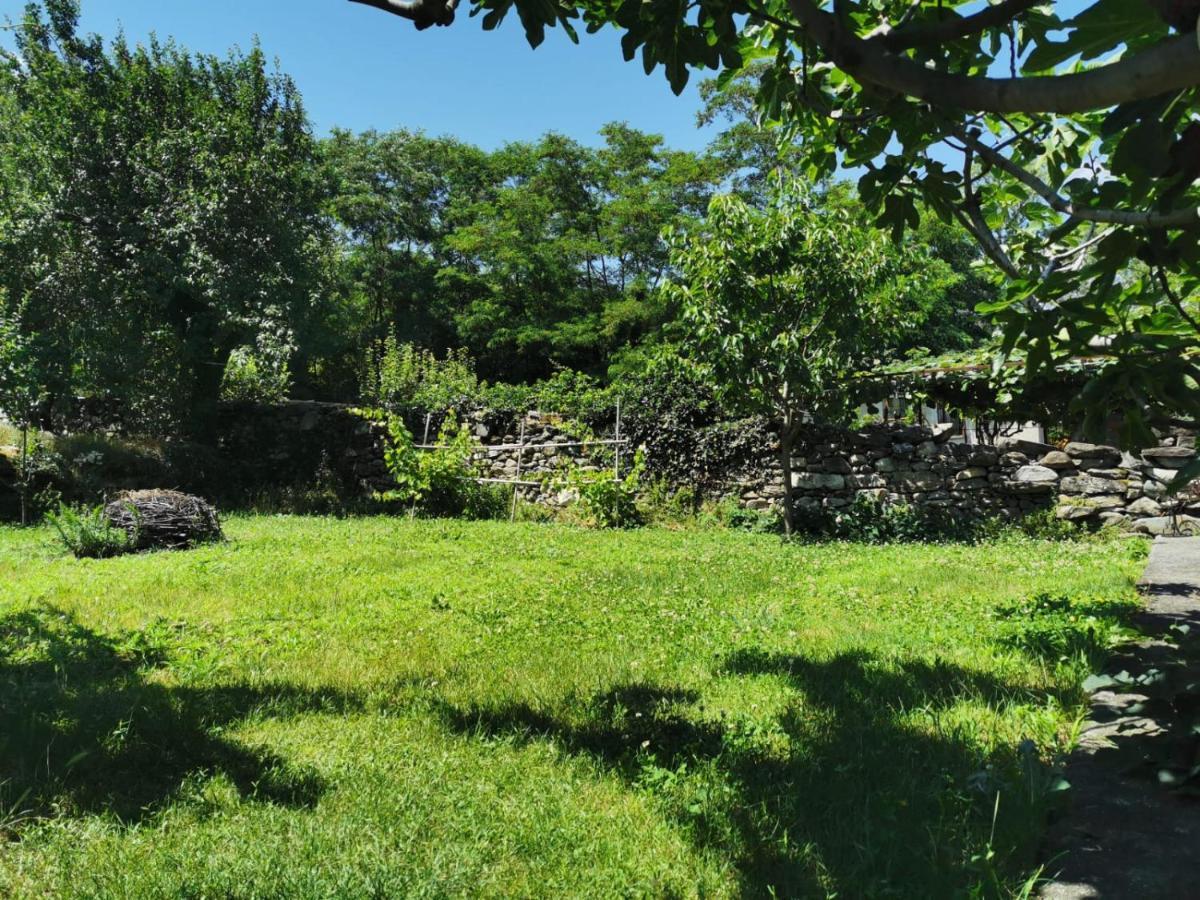 Da Zio Guido! Villa Bussoleno Esterno foto